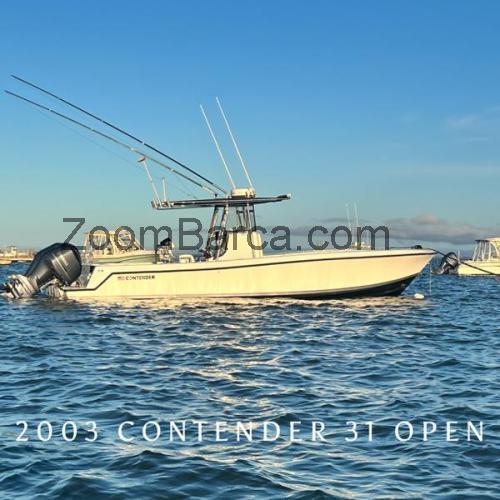 Contender 31T scheda tecnica e recensioni